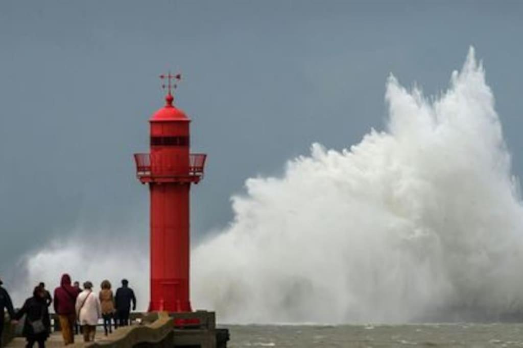 Апартаменты Petit Nid Sur La Cote Булонь-сюр-Мер Экстерьер фото